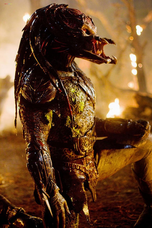 predatorsnew (13)